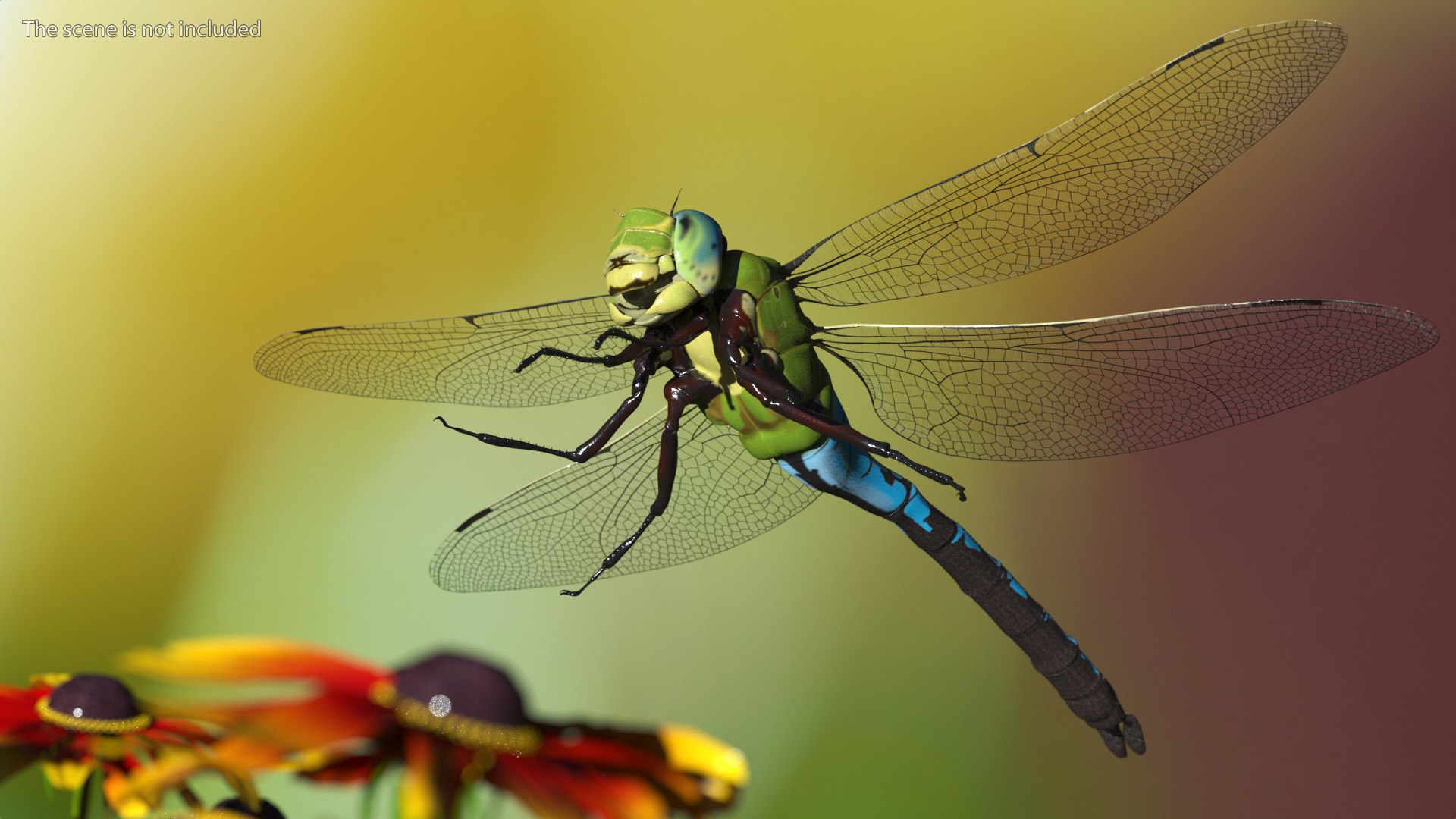 Dragonfly model https://p.turbosquid.com/ts-thumb/r6/P5uqoR/Wm/dragonflyc4dmodel004/jpg/1667344946/1920x1080/fit_q87/711fb89e32bc1b0add261f986d40084a610be42d/dragonflyc4dmodel004.jpg