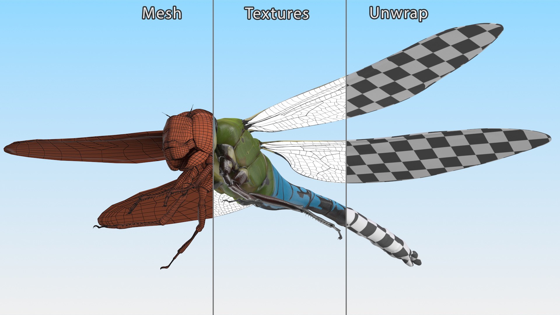 Dragonfly model https://p.turbosquid.com/ts-thumb/r6/P5uqoR/n9/dragonflyc4dmodel018/jpg/1667344998/1920x1080/fit_q87/246b18aeb4058831a77d4157e10c1e834edf26a5/dragonflyc4dmodel018.jpg