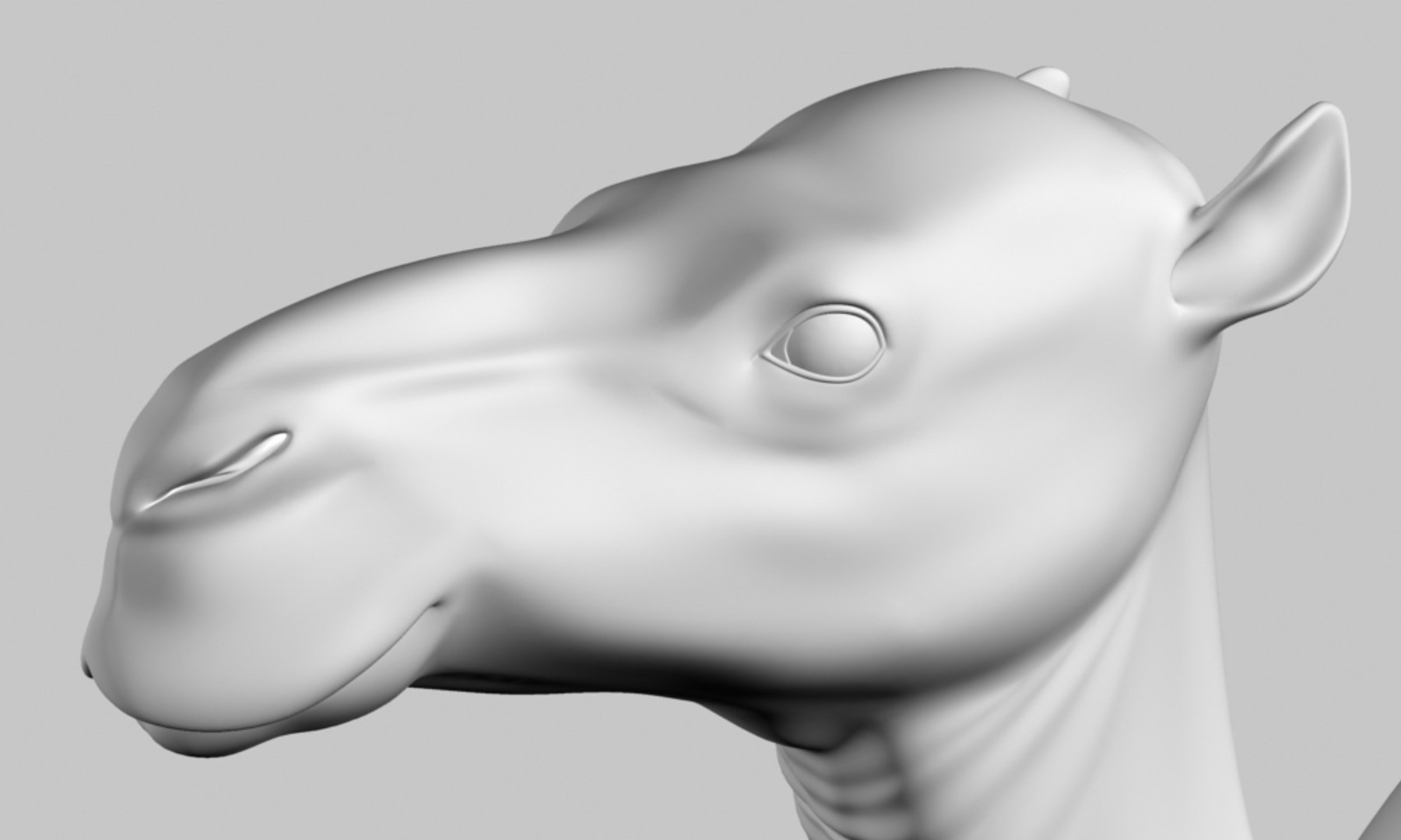 3d model camel https://p.turbosquid.com/ts-thumb/r6/RUaqwM/36lcIvf2/camel05/jpg/1087154487/1920x1080/fit_q87/372de1a6b83f9d28d3eb5cd54a4b7e29b827e116/camel05.jpg