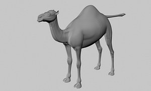3d model camel