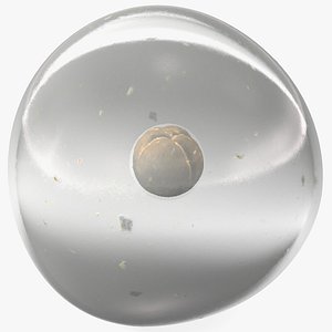 Frog Egg 3D model
