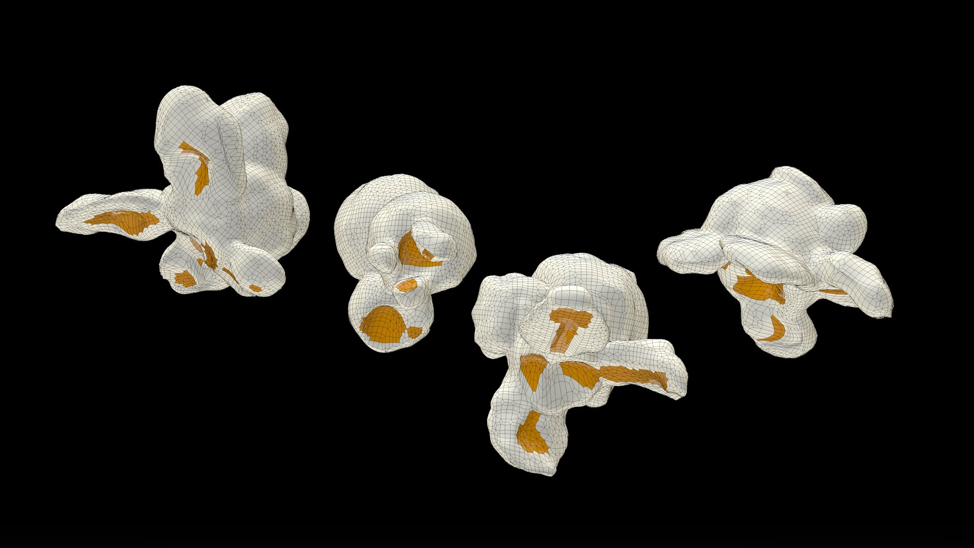 pop corn animation 3D model https://p.turbosquid.com/ts-thumb/r6/Z2qUkc/ec2QvCKc/preview8_wireframe/png/1597138183/1920x1080/fit_q87/175ee976f304eccf7d115b0616759b3eb0f8248a/preview8_wireframe.jpg