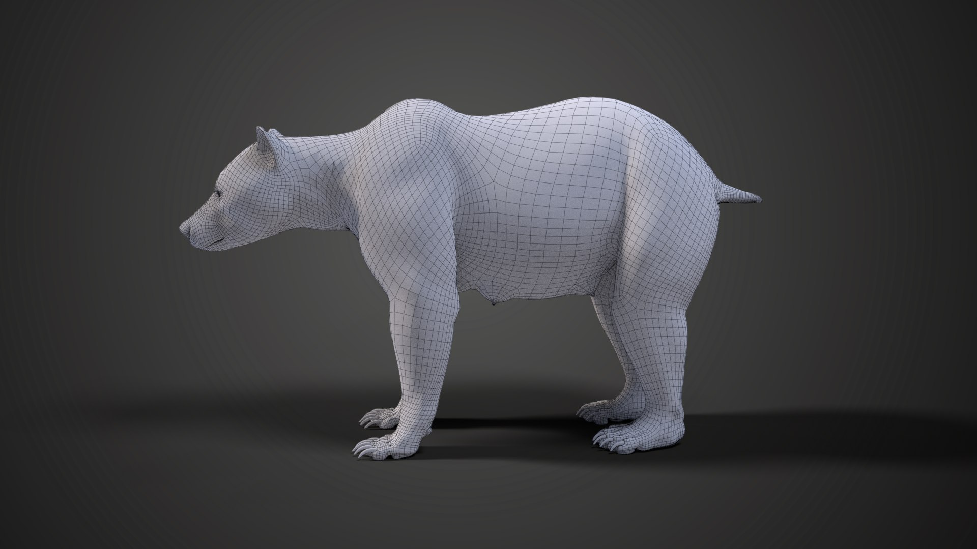 poly the bear eyes - 3D model by gtspnmau (@gtspnmau) [8211c65]