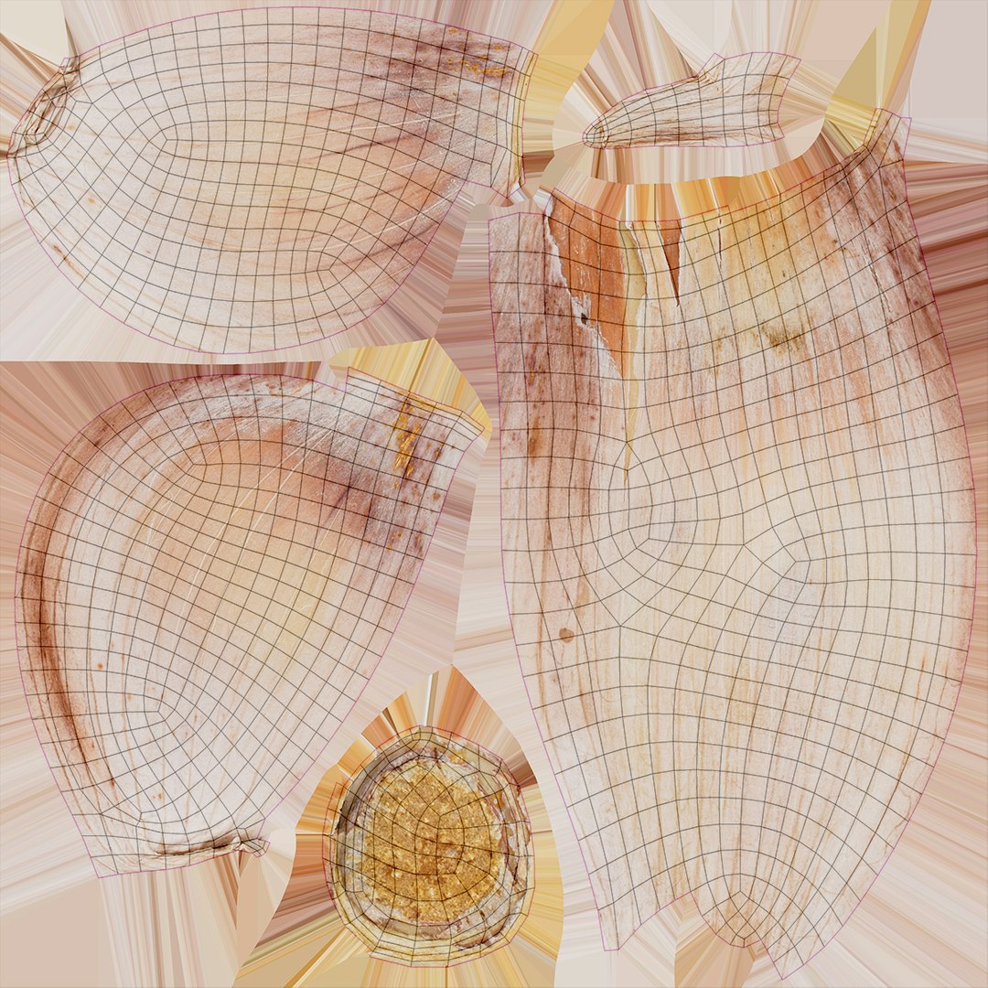 Garlic Clove Pile model https://p.turbosquid.com/ts-thumb/r7/EDAVBg/Kk/garlicclovepile_f0004/jpg/1638355633/1920x1080/fit_q87/3471287b79646bf094de0415cb14838d3be064f2/garlicclovepile_f0004.jpg