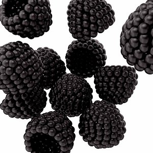 3D model Blackberry