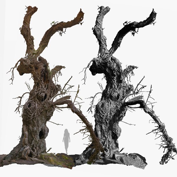 Spooky Monster Tree 3D model with Faces and Animal Siluets RAW 3D Scan 3x16k Textures 3D