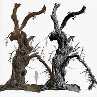 Spooky Monster Tree 3D model with Faces and Animal Siluets RAW 3D Scan 3x16k Textures