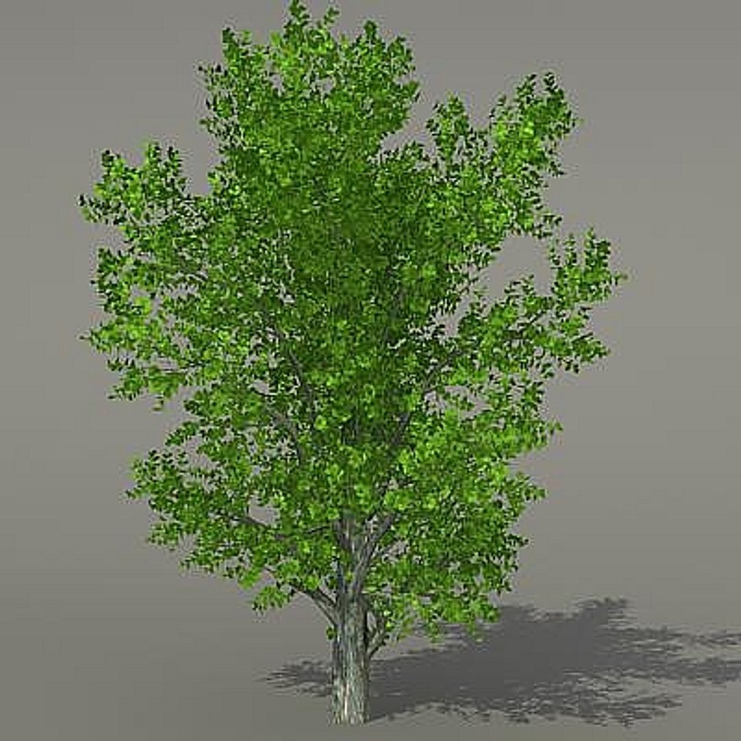 3d tree