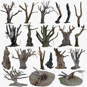 20 TREES BUNDLE of SCANS  DAMAGED TREES 3D MODELS COLLECTION 3D model