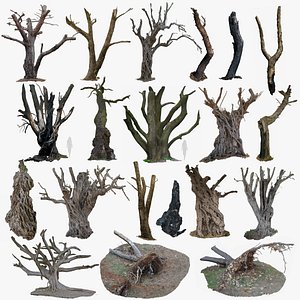 20 TREES BUNDLE of SCANS  DAMAGED TREES 3D MODELS COLLECTION