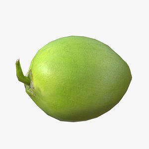 Coconut Green 3D model