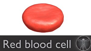 red blood cell