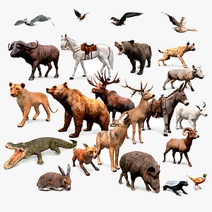 ULTIMATE ANIMAL MEGA BUNDLE - 100 Animals