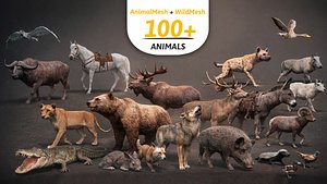 ULTIMATE ANIMAL MEGA BUNDLE - 100 Animals
