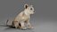 Fur Lion Cub Rigged i animacja