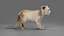 Fur Lion Cub Rigged i animacja