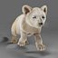 Fur Lion Cub Rigged i animacja
