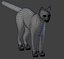 Gato