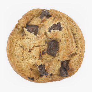 3D Chocolate Chip Cookie 03 model