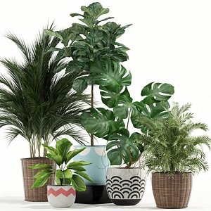 plants 115 3D model