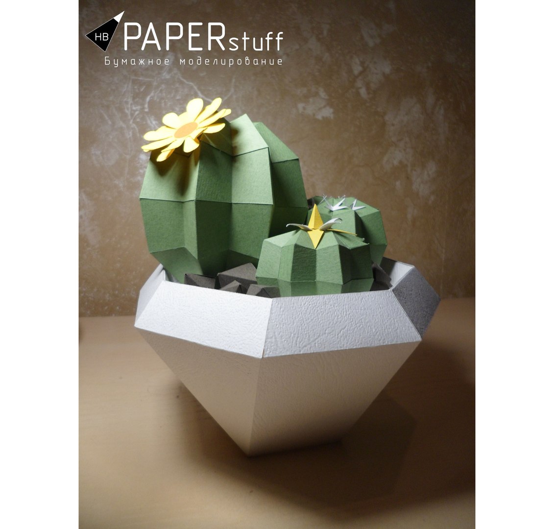 3D cactus stl wrl https://p.turbosquid.com/ts-thumb/r8/rXuP7R/7taF8Vx8/7/jpg/1554991698/1920x1080/fit_q87/214f364f43c2cffcc0b7134ef51aa51ffd339de2/7.jpg
