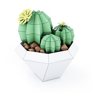 Cactus in vase