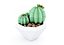 Cactus dans un vase