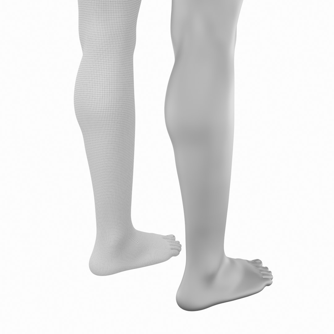 3D Female Legs Anatomical Base Mesh Model - TurboSquid 2166503