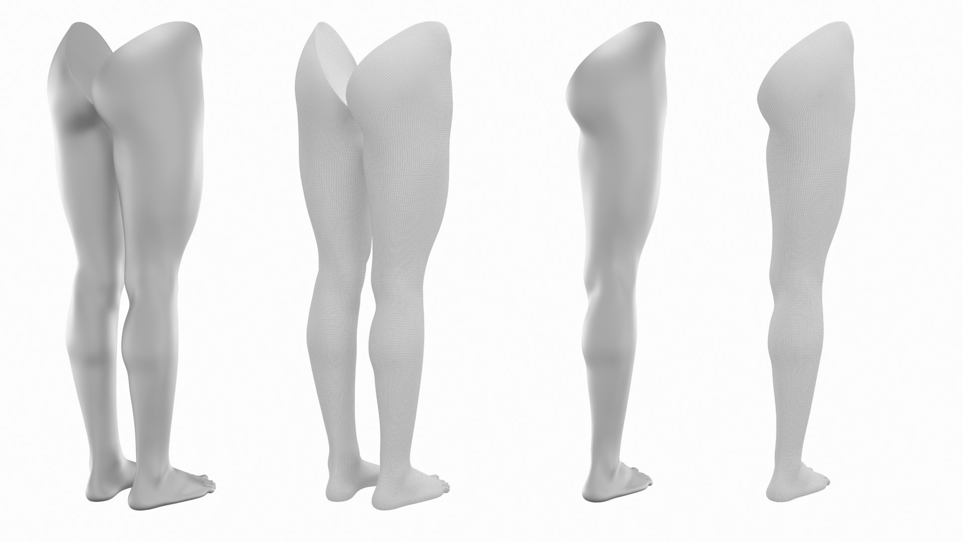 3D Female Legs Anatomical Base Mesh model - TurboSquid 2166503