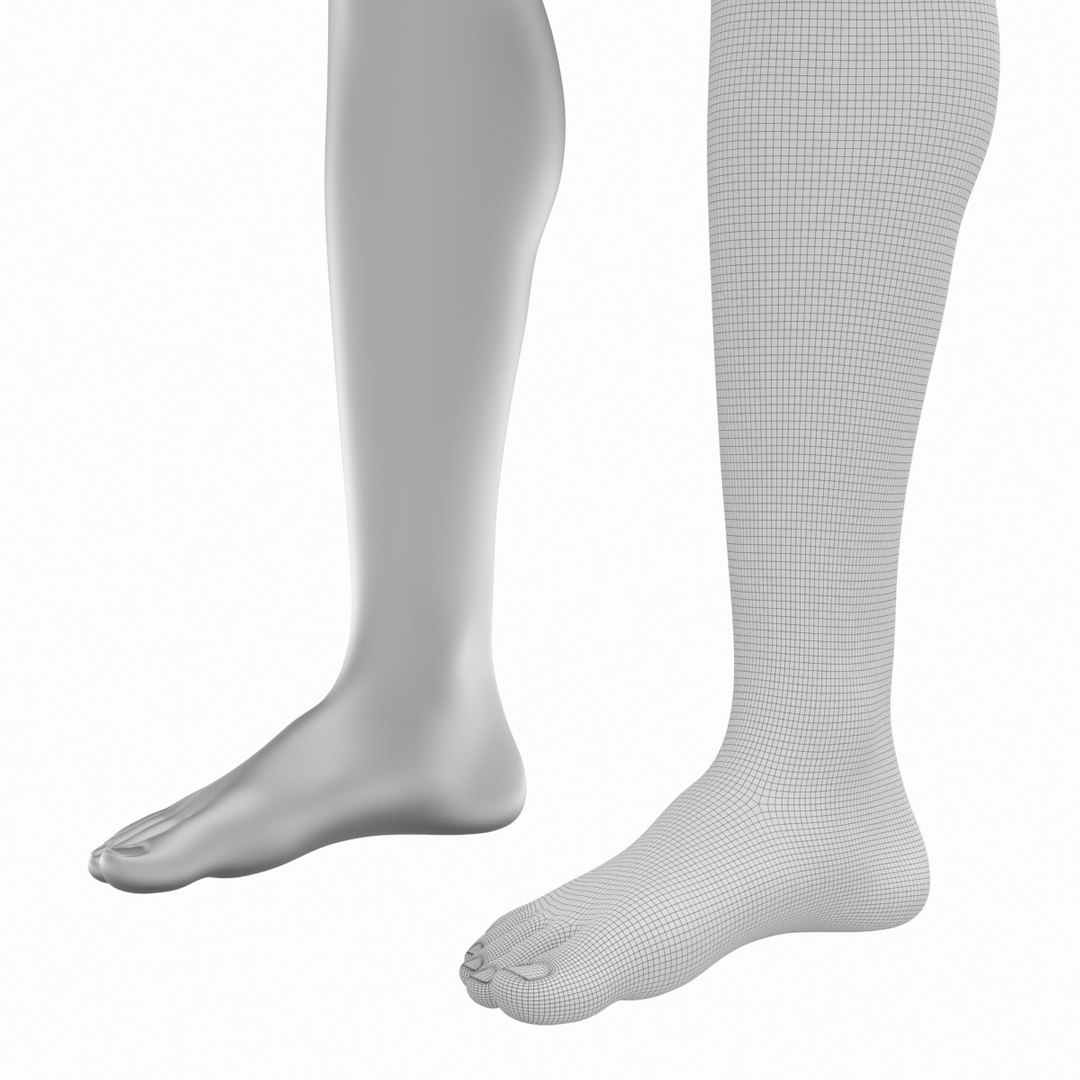 3D Female Legs Anatomical Base Mesh Model - TurboSquid 2166503