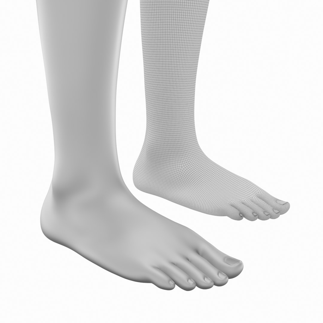 3D Female Legs Anatomical Base Mesh Model - TurboSquid 2166503