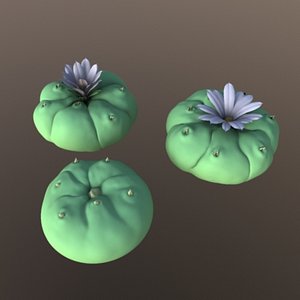cactus plant 3d model