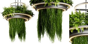 Collection plant vol 508 - blender