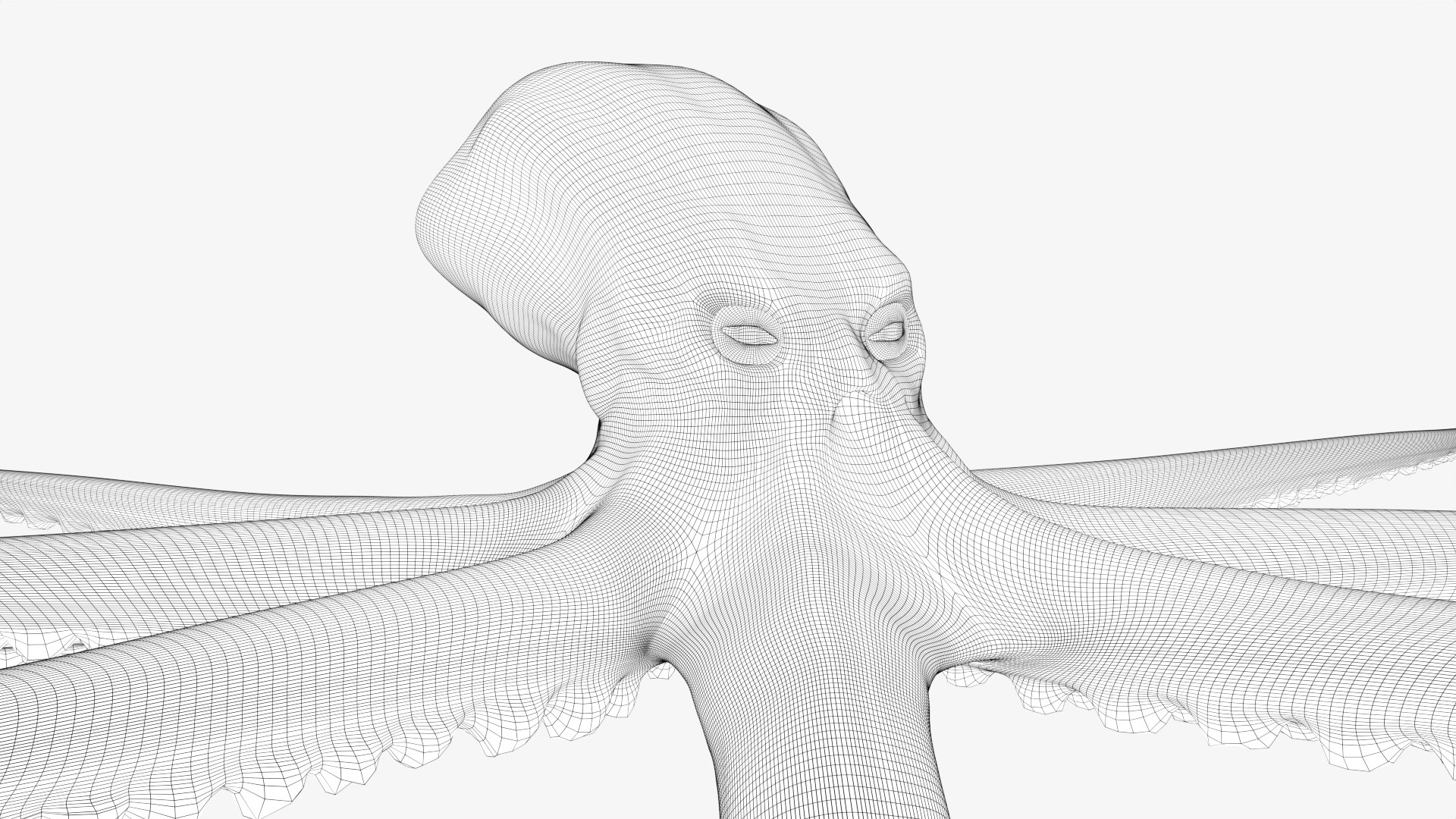 Stylized Octopus 3D - TurboSquid 2267087