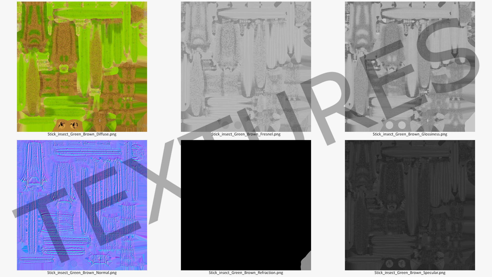 phasmatodea stick insect rigged 3D model https://p.turbosquid.com/ts-thumb/r9/DGQvul/7jyPmhAk/phasmatodeastickinsectriggedc4dmodel027/jpg/1579164735/1920x1080/fit_q87/25b15344ee4f87735e0ab6335813db5be939d56f/phasmatodeastickinsectriggedc4dmodel027.jpg