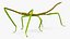 Phasmatodea Stick Insect Rigged for Maya