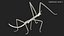 Phasmatodea Stick Insect Rigged for Maya