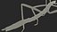 Phasmatodea Stick Insect Rigged for Maya