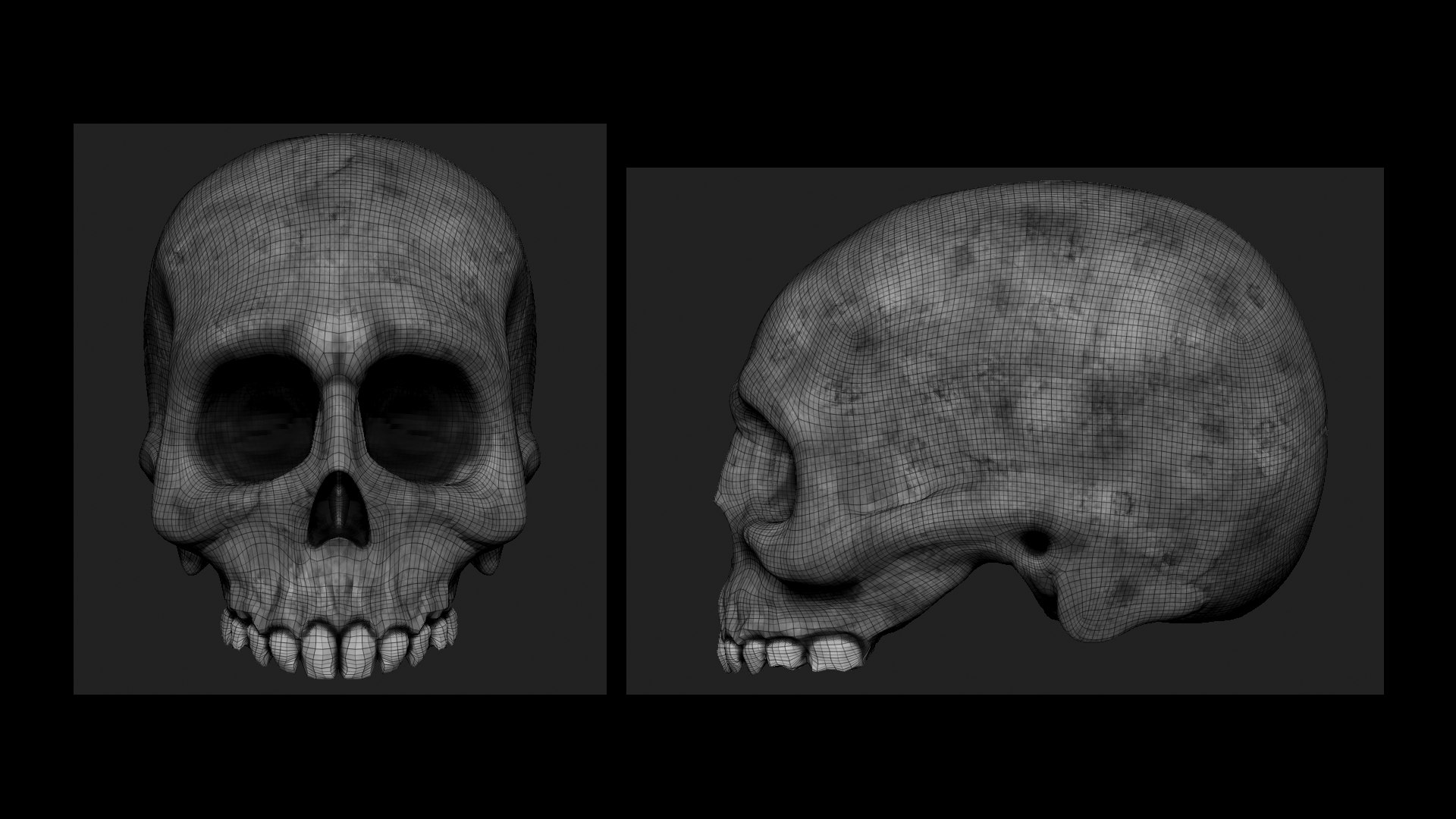 Human Skull - No Jaw - 3D Model - ABB 3D https://p.turbosquid.com/ts-thumb/r9/HmsMgn/2y/wire/png/1654022638/1920x1080/fit_q87/70fbc7d426d4eaeed2e0acb12943c8d9d0fe339e/wire.jpg
