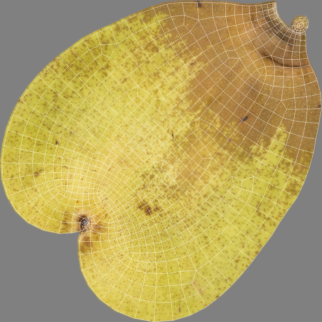 long yellow pear 3D model https://p.turbosquid.com/ts-thumb/r9/PqFqZx/0yiGdxlc/longyellowpearmb3dmodel008/jpg/1496388647/1920x1080/fit_q87/448773dfbf62bbde57e665d539666345ae5b6488/longyellowpearmb3dmodel008.jpg