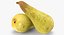 Fruits Collection 10