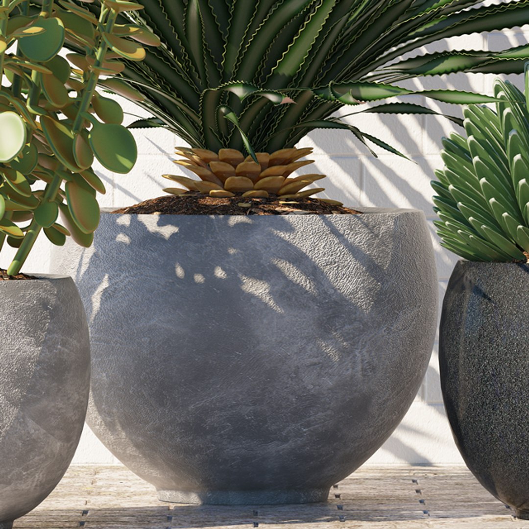 plants 167 model https://p.turbosquid.com/ts-thumb/r9/QQZ2C7/Ggf9EVtB/p167d/jpg/1589358861/1920x1080/fit_q87/52009cf9f215911c850eca63eac0f5b7c1d30583/p167d.jpg