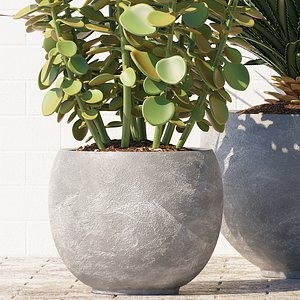 plants 167 model