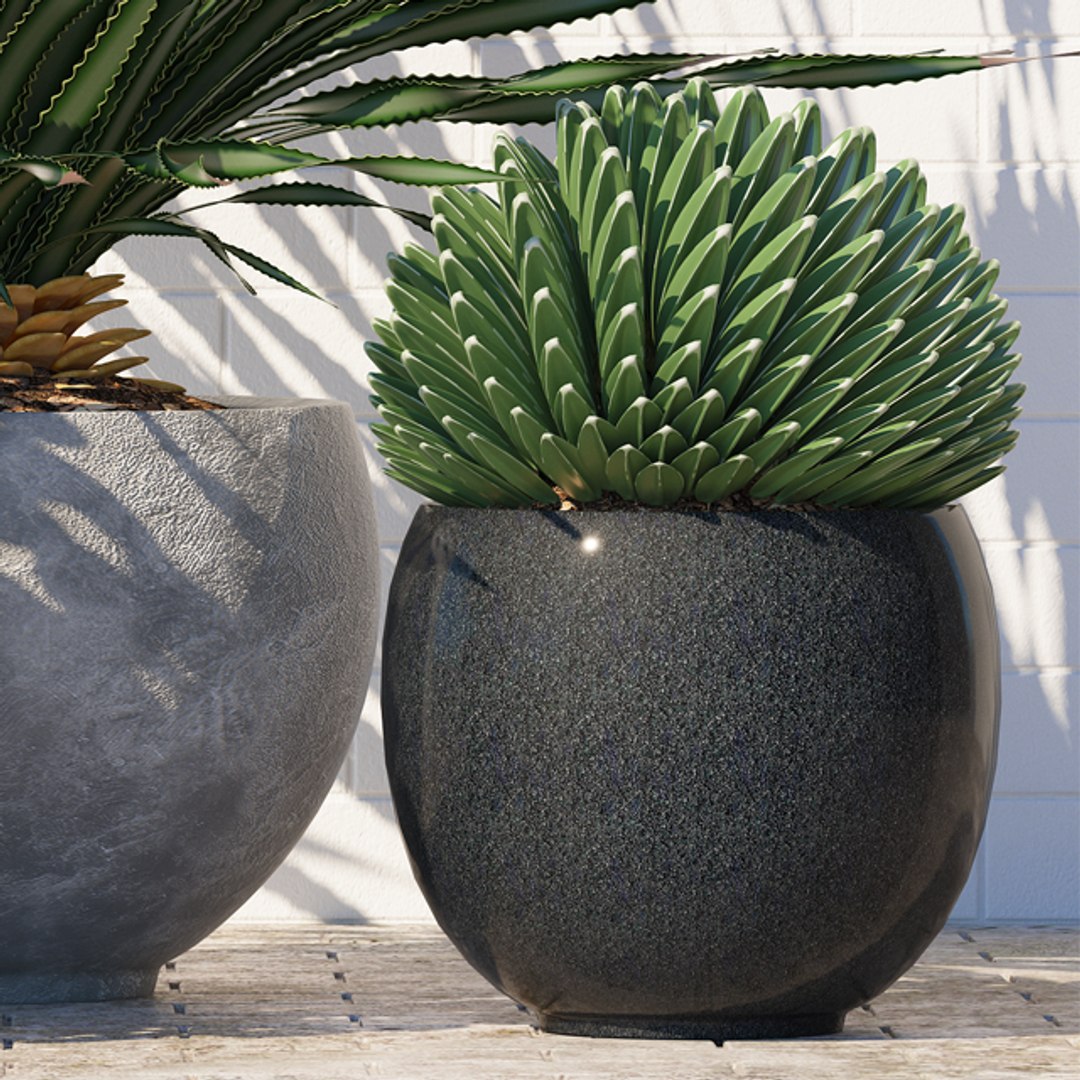 plants 167 model https://p.turbosquid.com/ts-thumb/r9/QQZ2C7/YjOc9RIl/p167e/jpg/1589358861/1920x1080/fit_q87/9704e5639d54e6ef996443391a355fa97c98553f/p167e.jpg