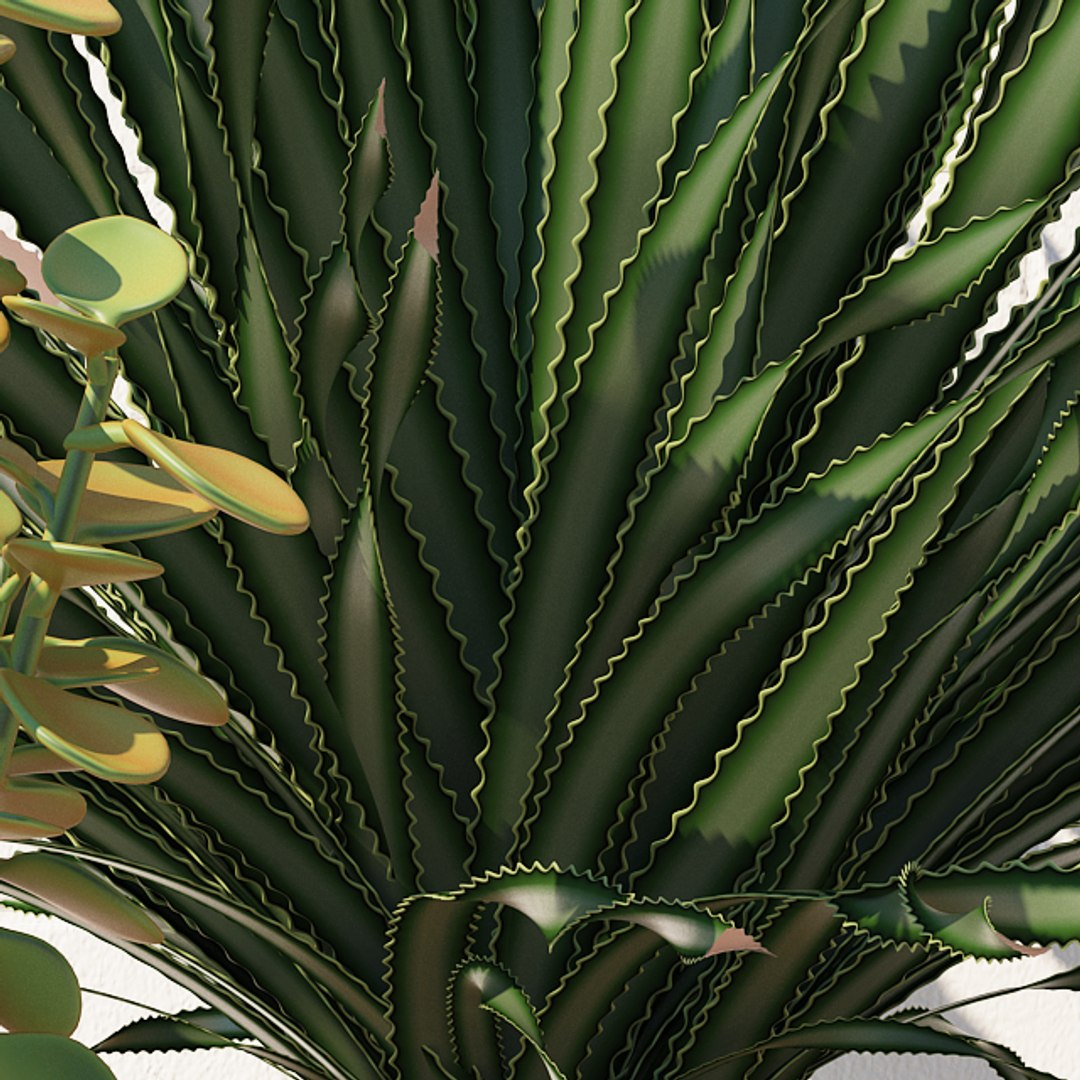 plants 167 model https://p.turbosquid.com/ts-thumb/r9/QQZ2C7/r3jAB9Ox/p167c/jpg/1589358861/1920x1080/fit_q87/d82866823852d524bb7528ef9b5cc881f2441640/p167c.jpg