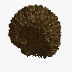 hairstyle 4 hair model