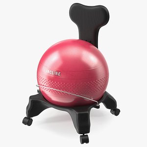 Gaiam Chair Black with Pink Ball
