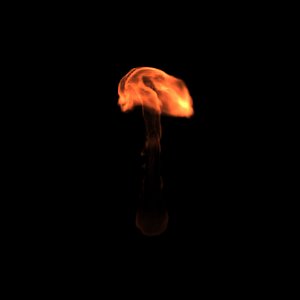 flame 3d model