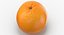 Colección de pomelos y naranjas