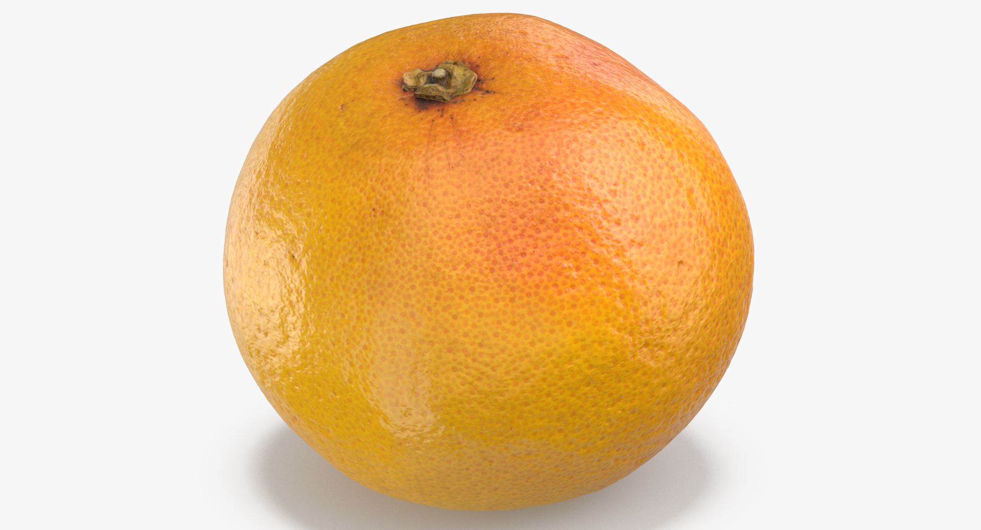 3D grapefruits oranges model https://p.turbosquid.com/ts-thumb/rA/AcTrhR/bVhjsUt6/0000/jpg/1573477473/1920x1080/turn_fit_q99/0c65757670641d52e698a364630a393478316d6a/0000-1.jpg